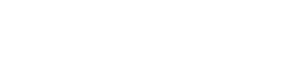 IBOS Autopflege